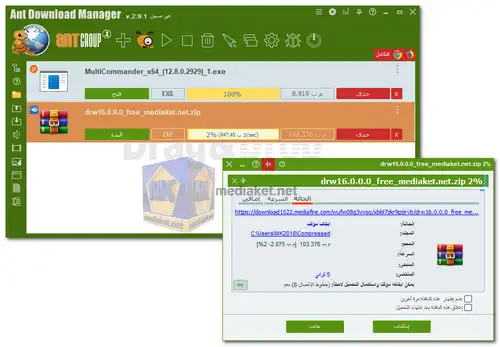 Ant Download Manager screenshot
