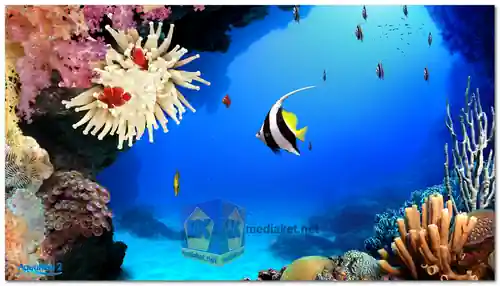 DigiFish Aqua Real 2 screenshot