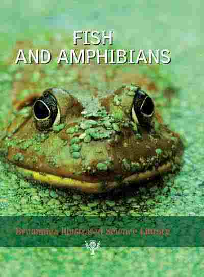 L'Encyclopedie illustrée britannica - Poissons et Amphibiens