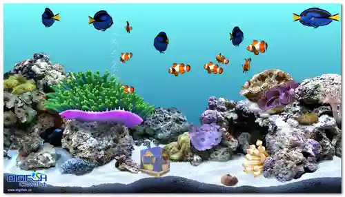DigiFish Clownfish Screensaver Screenshot