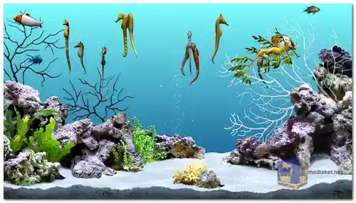 DigiFish Seahorse 3D screensaver screenshot