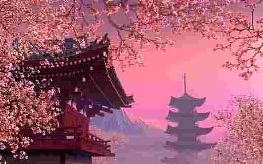 Blooming Sakura 3D screensaver